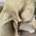 国产牛肚接定制熟牛肚纯干清水退清水煮