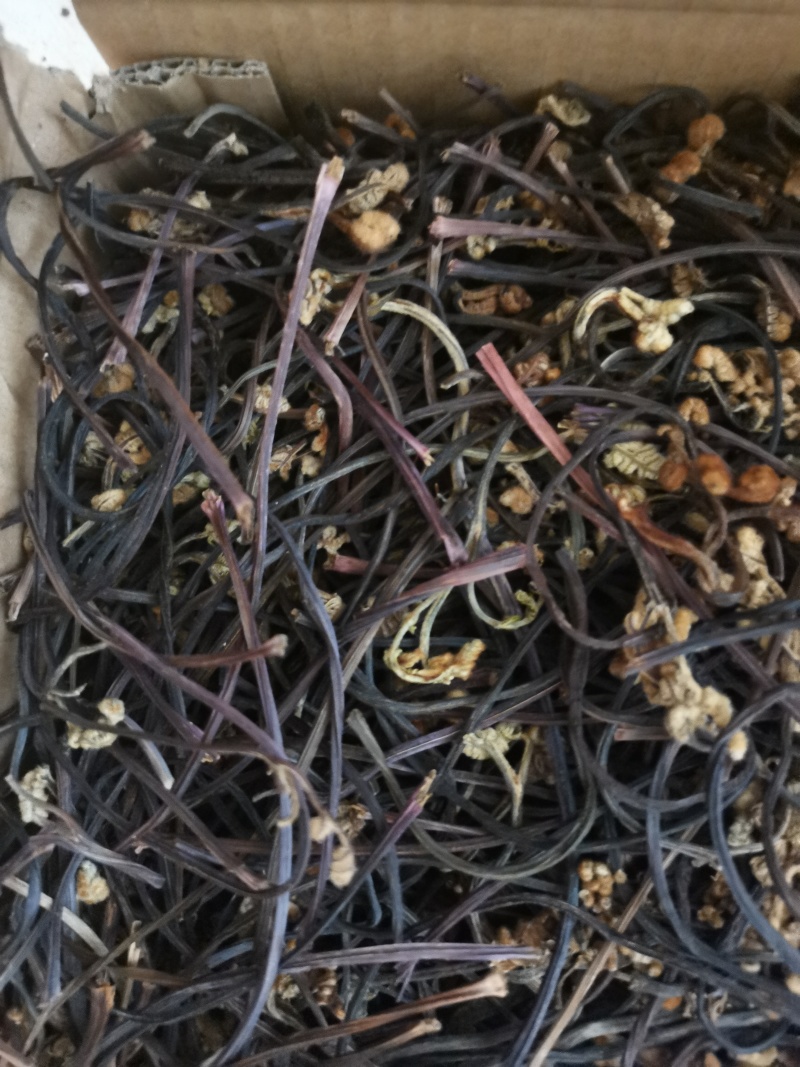 龙爪菜，干蕨菜