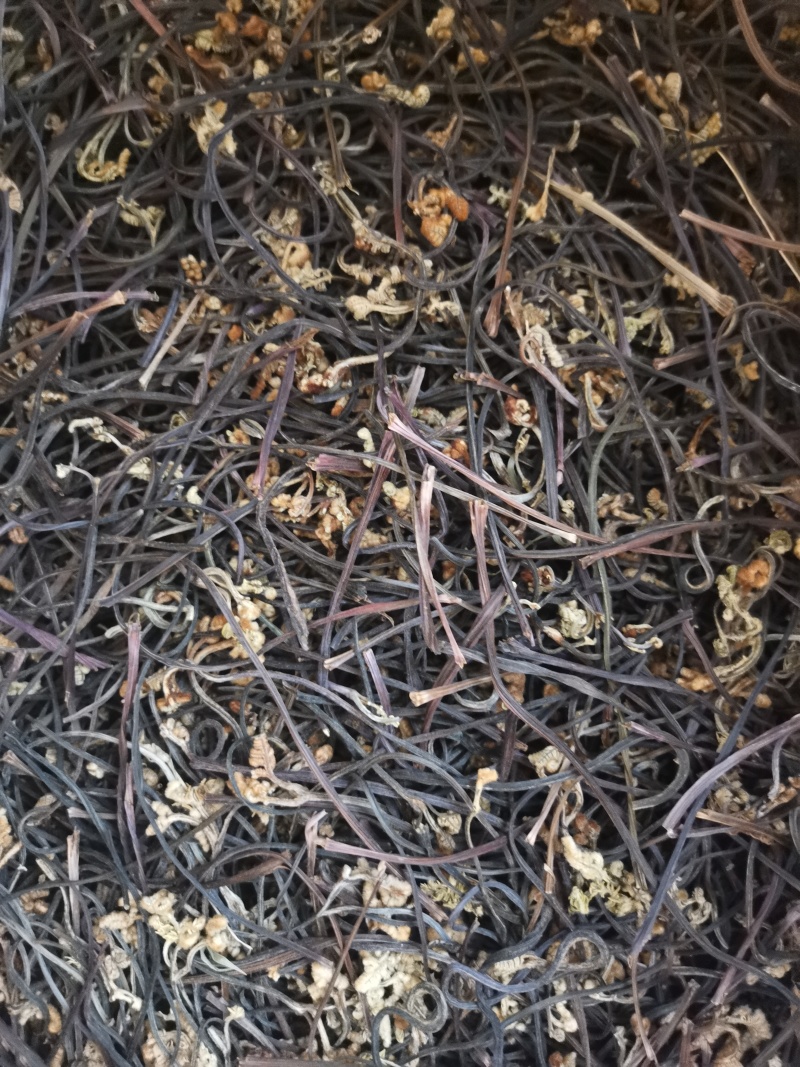 龙爪菜，干蕨菜