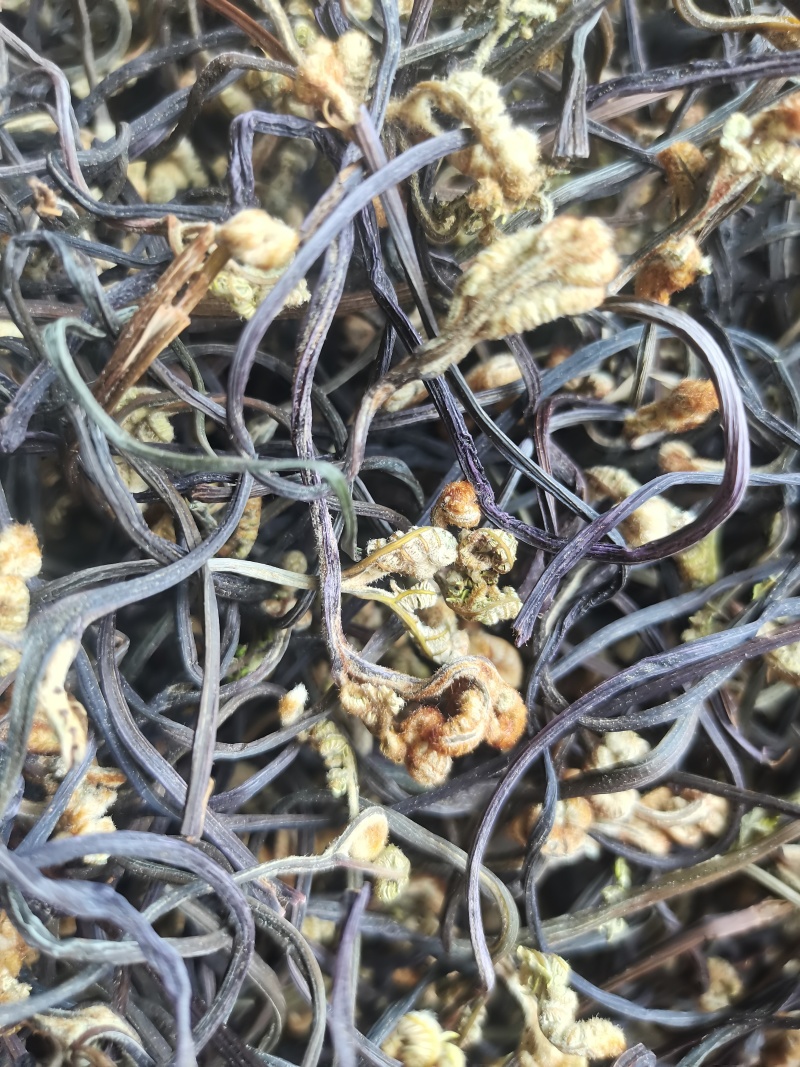 龙爪菜，干蕨菜