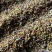 千亩黄连基地直供（种籽）免费技术指导