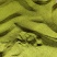 千亩黄连基地直供（种籽）免费技术指导