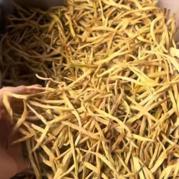 黄花菜