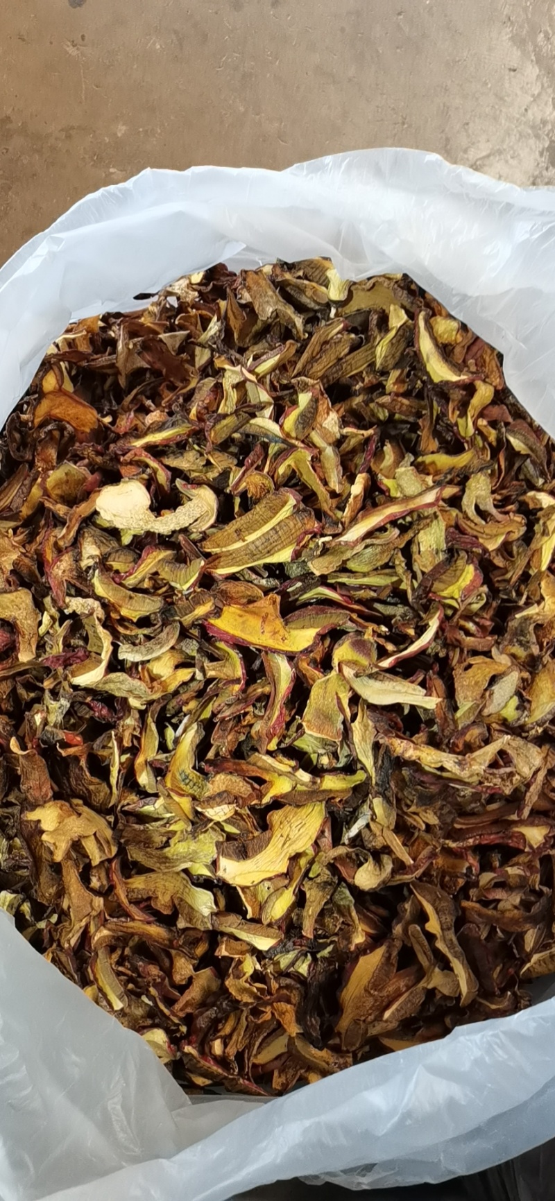 干牛肝菌