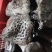 虎掌菌