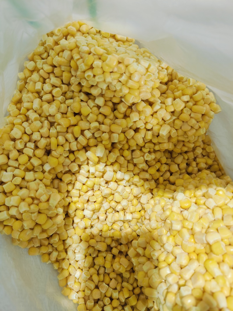 最新生产水果玉米粒