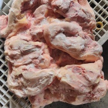 种鸡全架，工厂直发