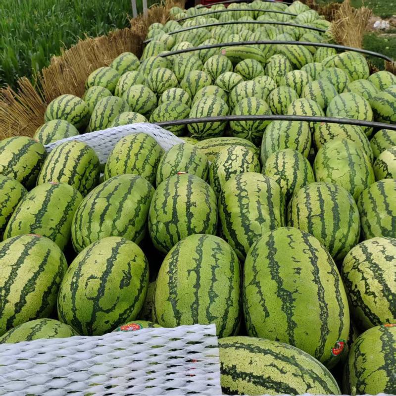 宁夏硒砂瓜石头瓜量大从优清甜可口价格美丽质量一流欢迎询价