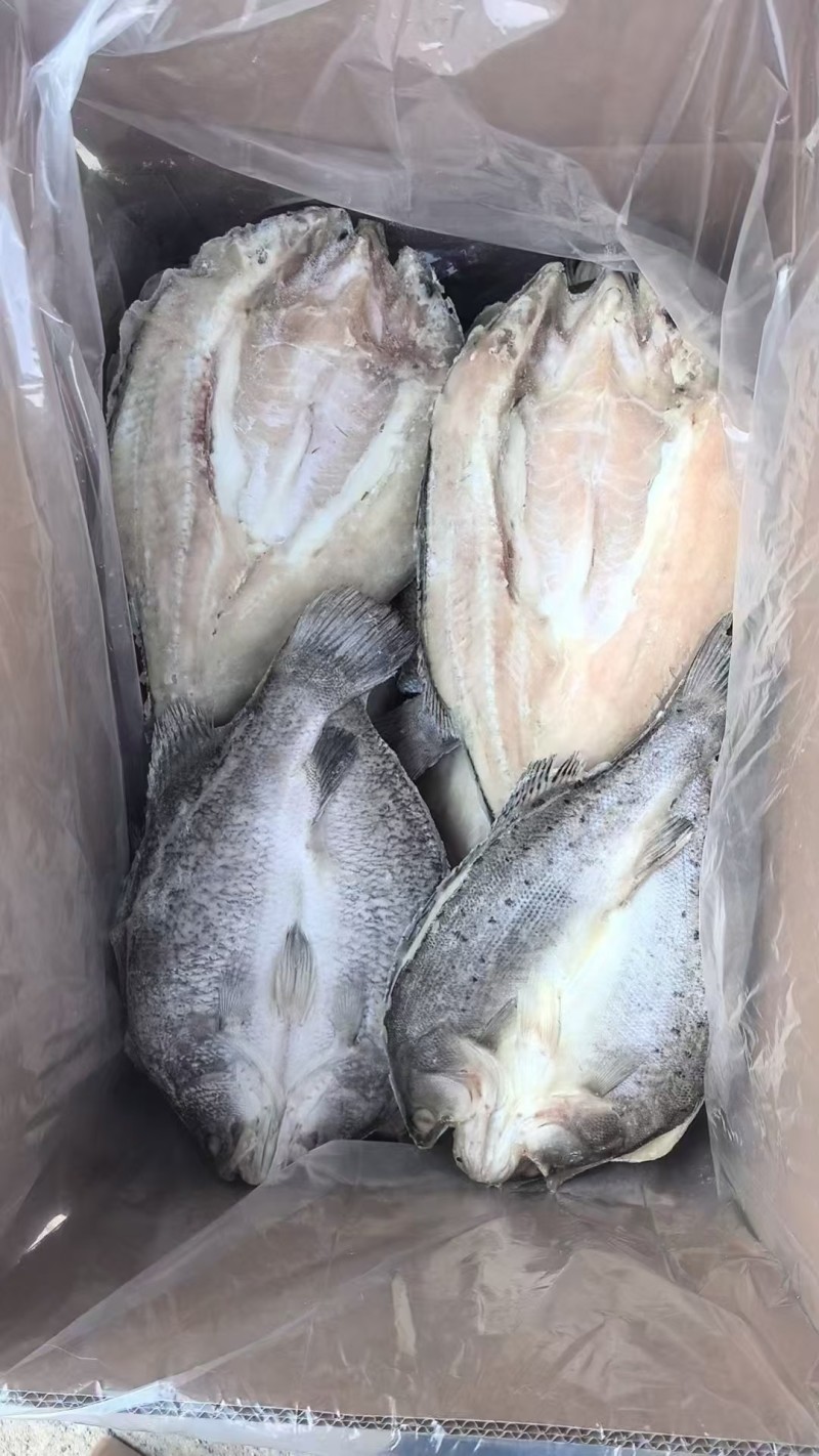 鲈鱼（纯干）！肉质细腻，味道鲜美！