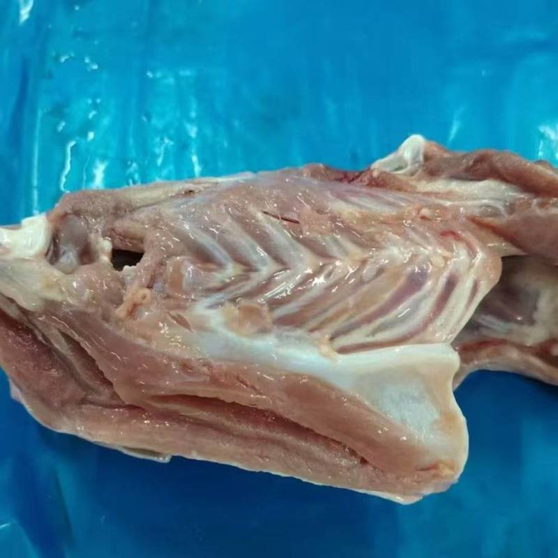 生鸭架（带锁骨.小胸.软骨）
