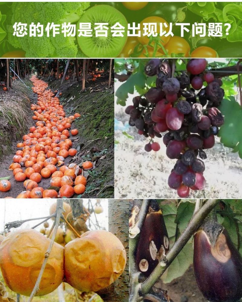 山东嘉美施钙铁镁锌硼中量元素水溶肥