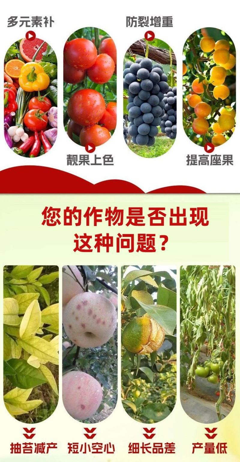 山东嘉美施钙铁镁锌硼中量元素水溶肥
