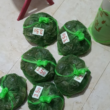 六月黄大闸蟹全规格有货