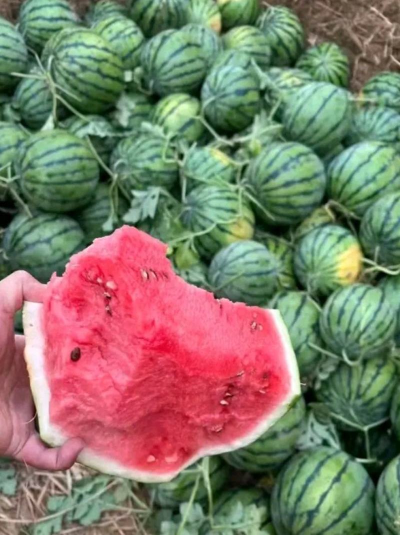 湖北美都麒麟瓜黑皮无籽瓜水分多汁，产地大量供应，视频发货
