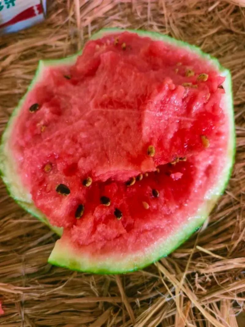 湖北美都麒麟瓜黑皮无籽瓜水分多汁，产地大量供应，视频发货