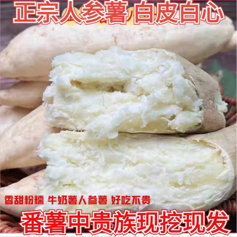 广东正宗湛江网红红薯现挖人参薯香甜软糯老人小孩都喜欢