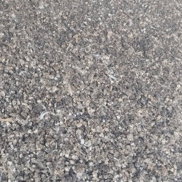 小鸡粪