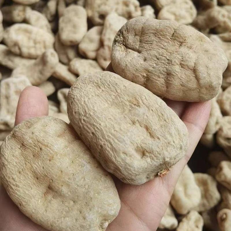 云南昭通正宗小草坝天麻现货先发一手货源包邮视频看货