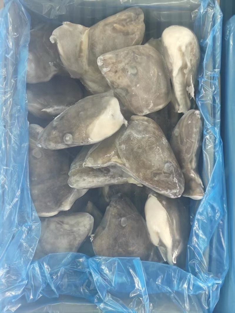 鲽鱼头
