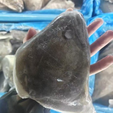 鲽鱼头