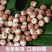 芡实中药材原料批发中药材各种规格欢迎留言订购定制选购
