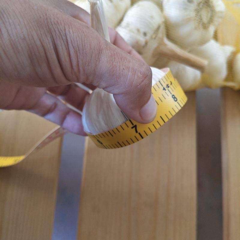 高产量高品质大蒜技术合作转让