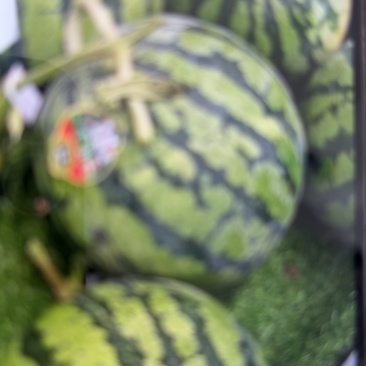 美都麒麟西瓜