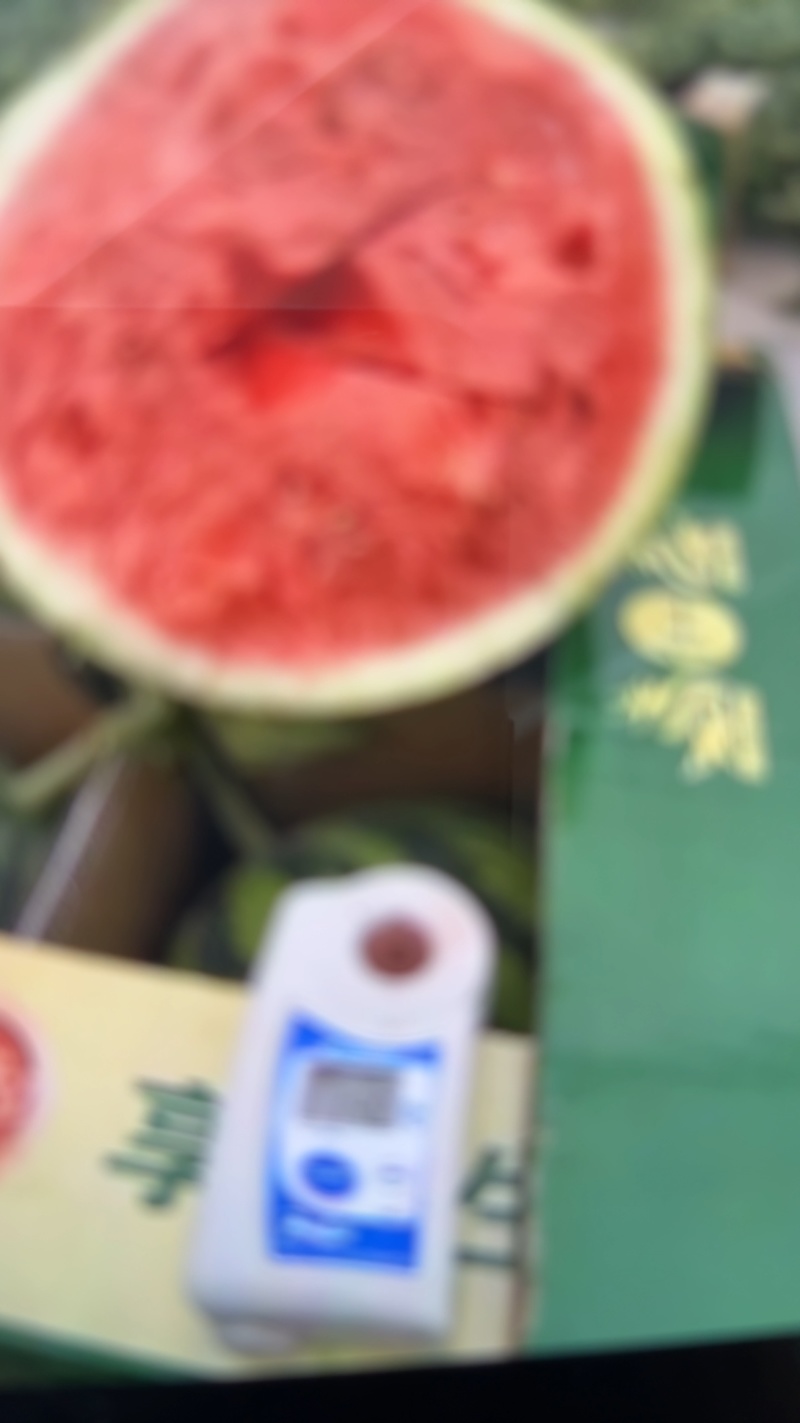 美都麒麟西瓜