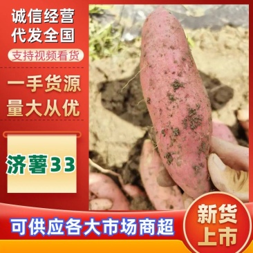【实力老店】红薯大量上市西瓜红龙薯九号红薯品种齐全