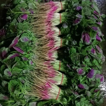 红米线，苋菜头