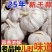 2025新干蒜，产地直发，个头大，份量足，颜色好，大量