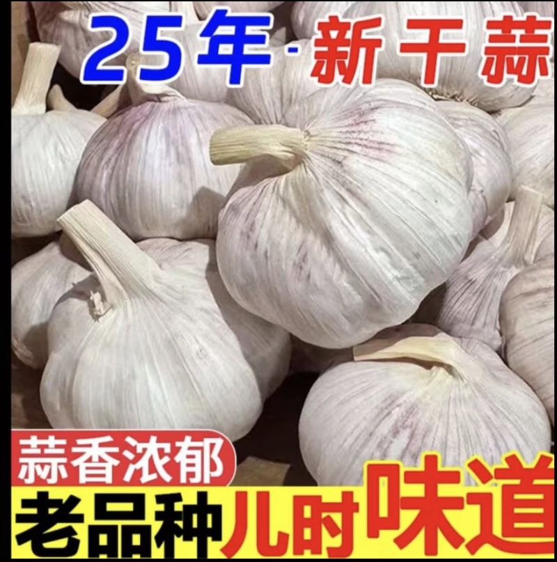 2025新干蒜，产地直发，个头大，份量足，颜色好，大量