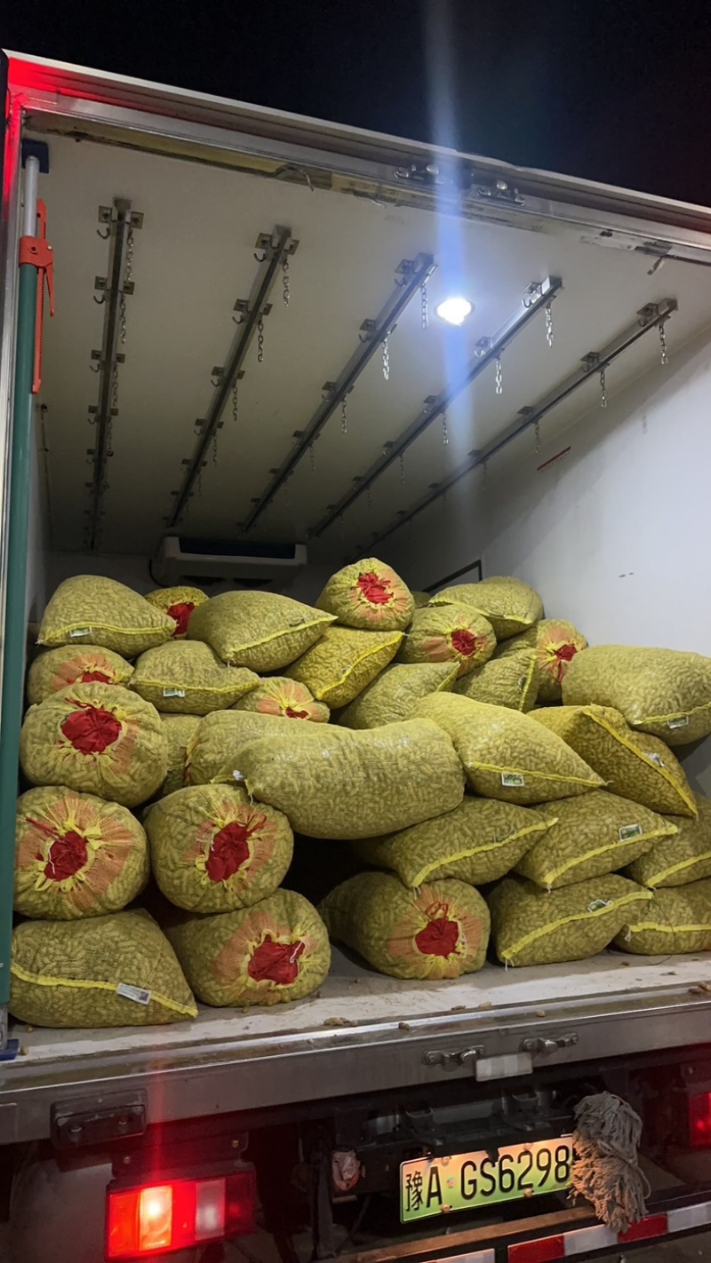 开封白沙大果鲜花生鲜摘现发欢迎大家光临