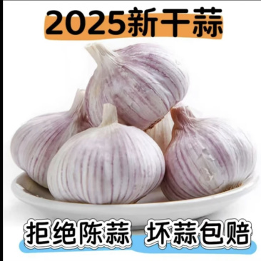 2025新干蒜，产地直发，个头大，份量足，颜色好，大量