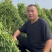 铁棍山药品种优良多年老店对接商超档口欢迎新老朋友电联！