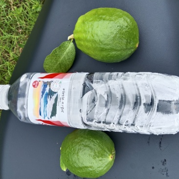 一百亩香水柠檬