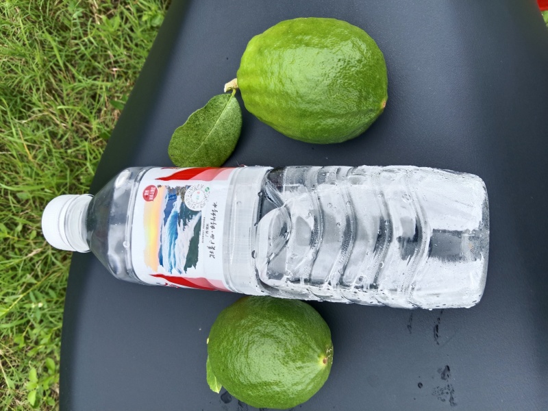 一百亩香水柠檬