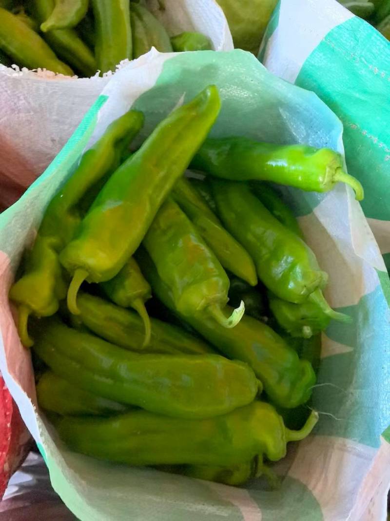 陕北辣椒上市牛角
