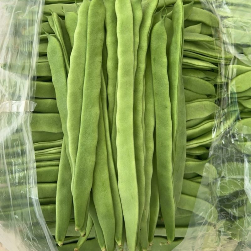 扁豆