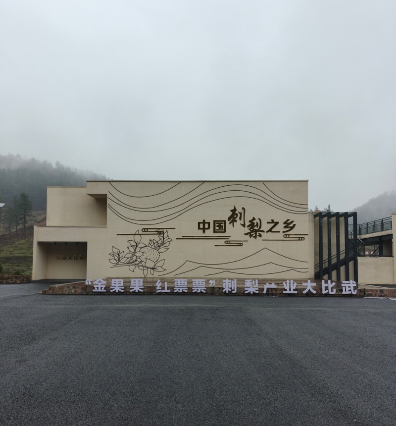 刺梨果/刺梨鲜果基地直发产自贵州龙里刺梨之乡