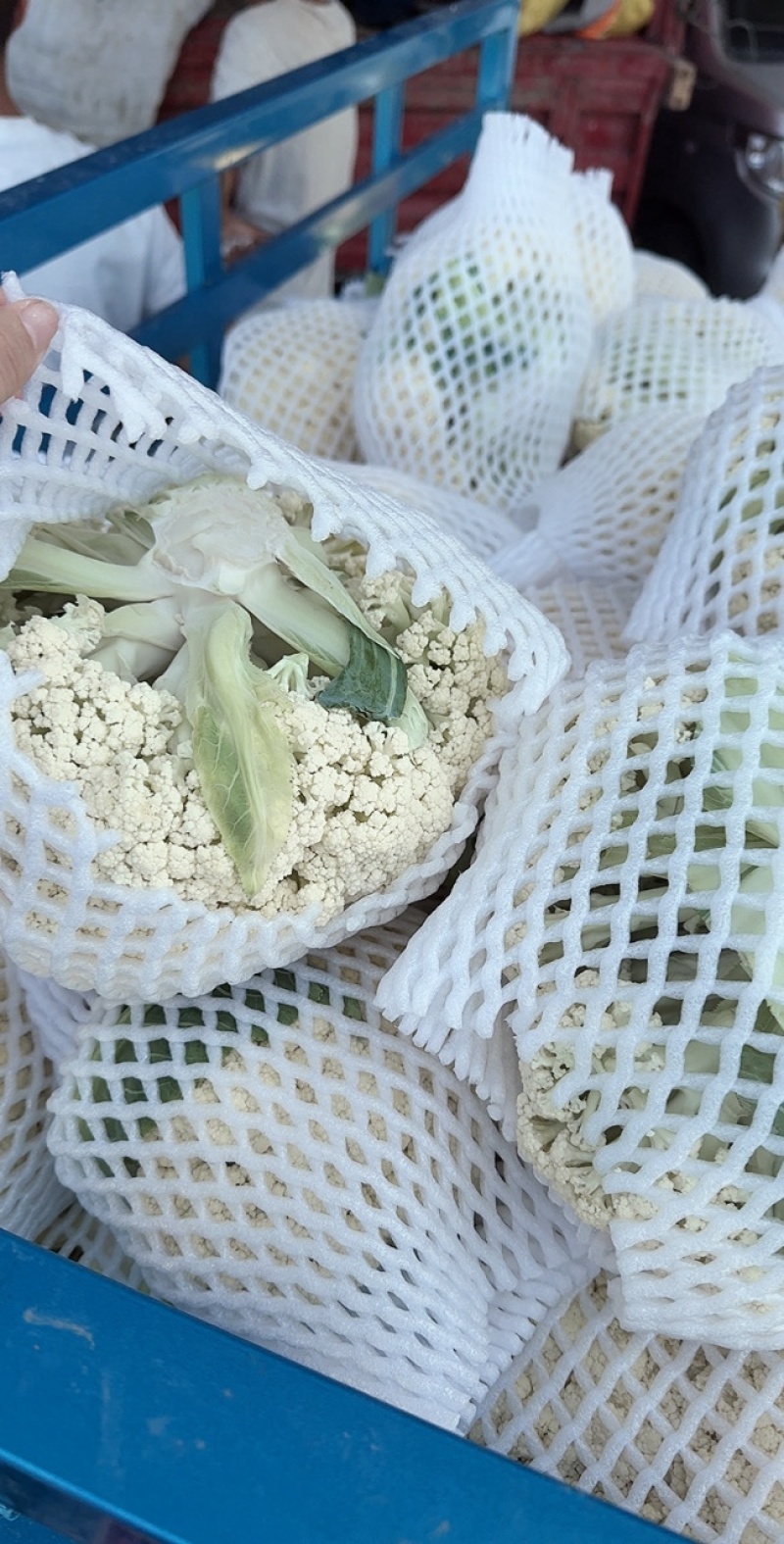 精品有机花