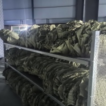 干荷叶烘干荷叶荷叶