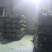 干荷叶烘干荷叶荷叶