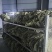 干荷叶烘干荷叶荷叶