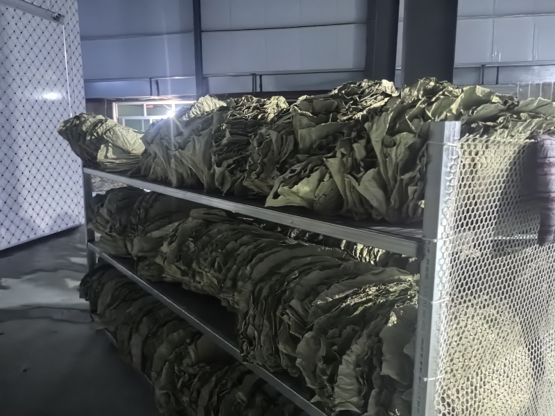 干荷叶烘干荷叶荷叶