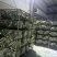干荷叶烘干荷叶荷叶