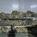干荷叶烘干荷叶荷叶