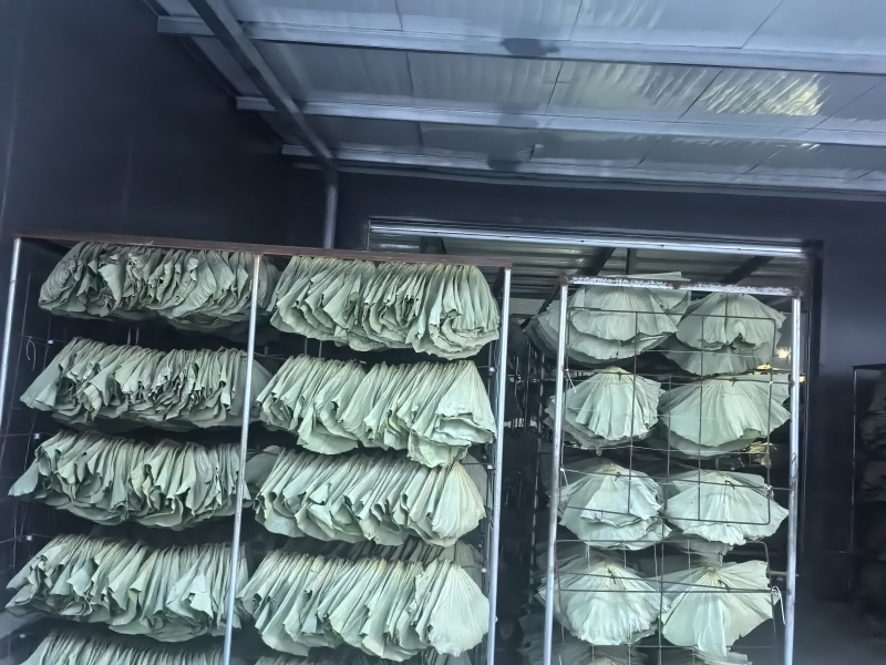 干荷叶荷叶茶