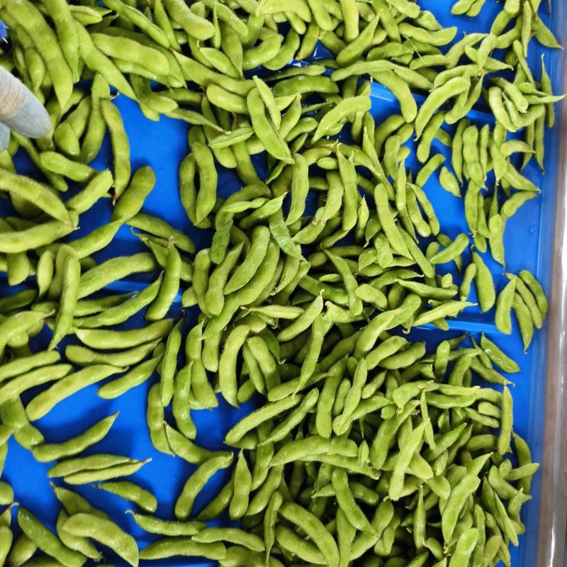 精品毛豆