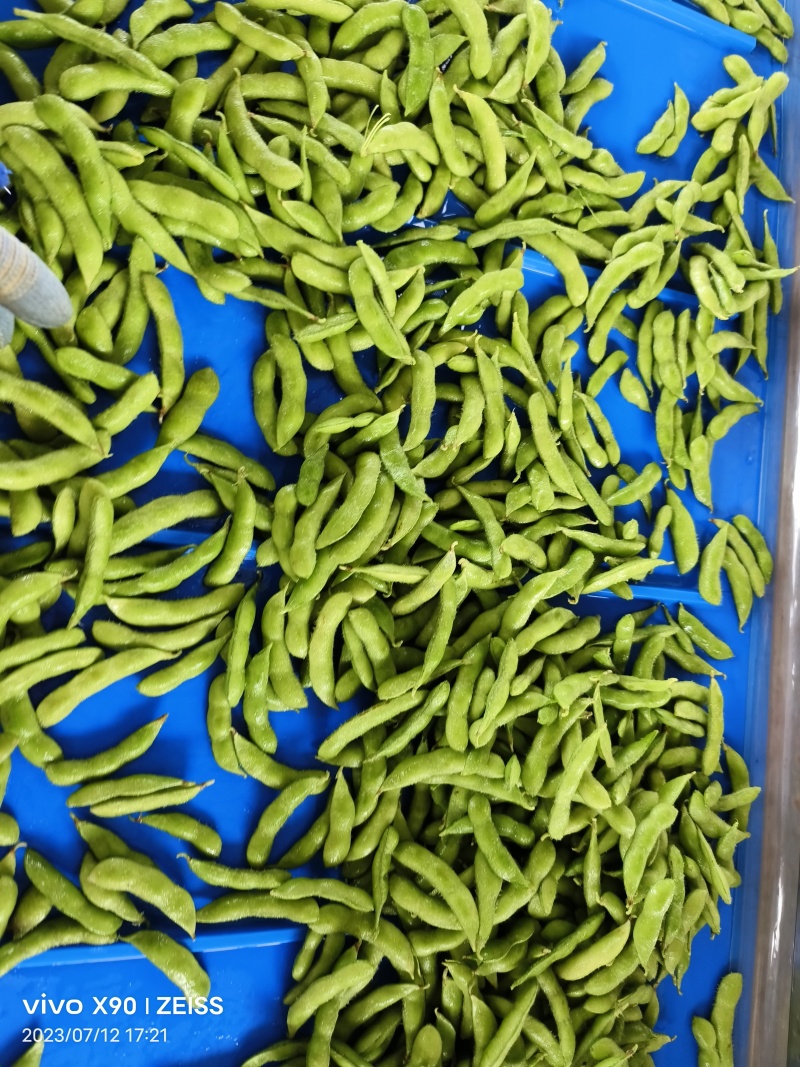 精品毛豆